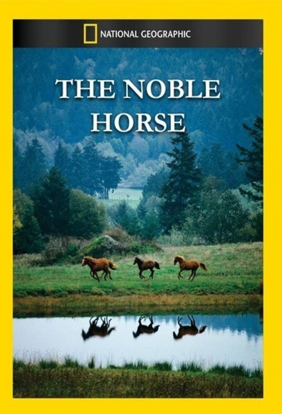 Noble Horse - (NTSC Format) - [DVD]