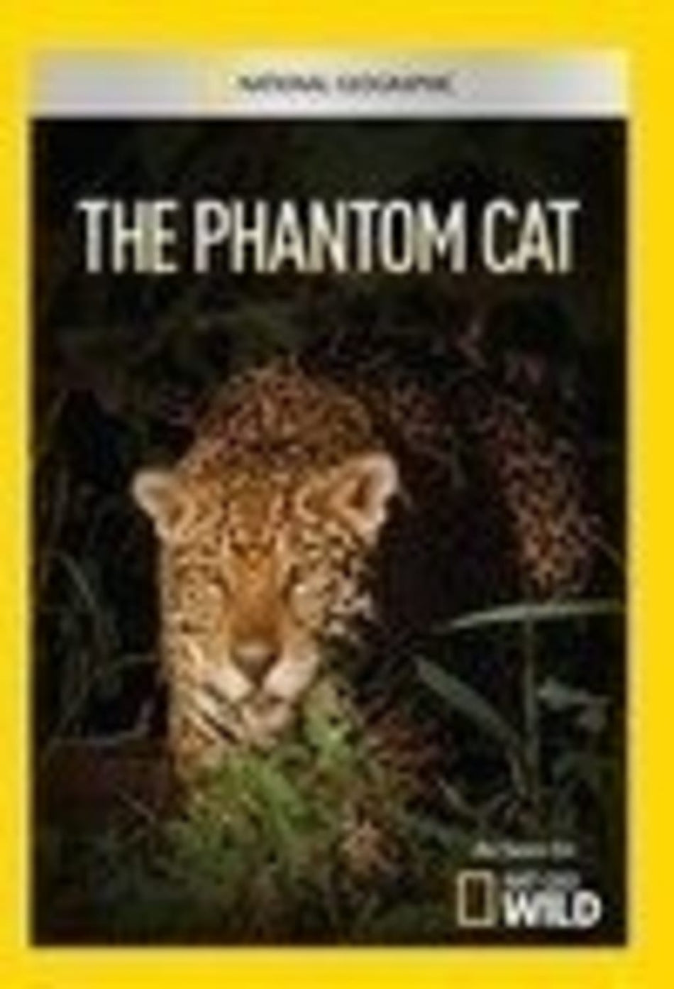 Phantom Cat - [DVD]