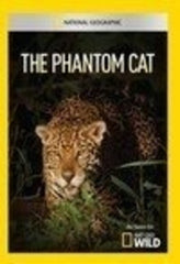 Phantom Cat - [DVD]