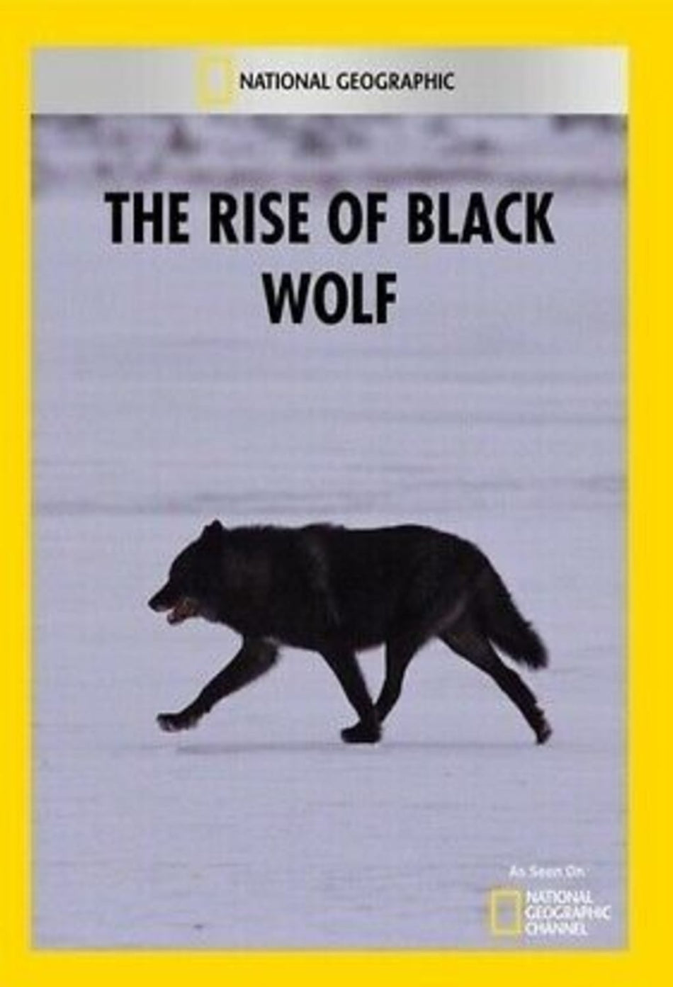 Rise of Black Wolf - [DVD]