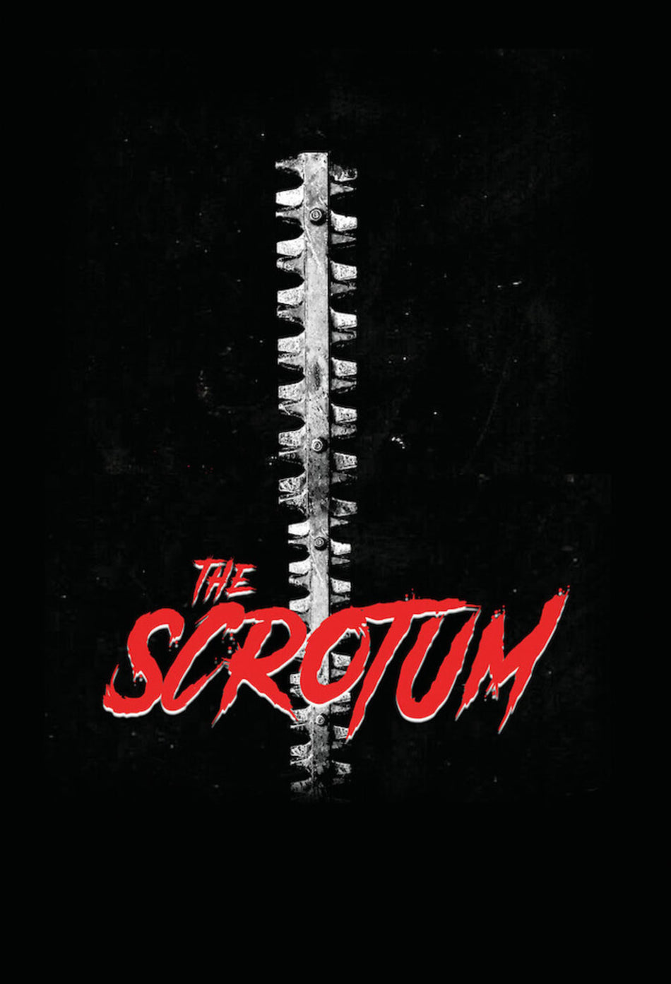 The Scrotum - [DVD]