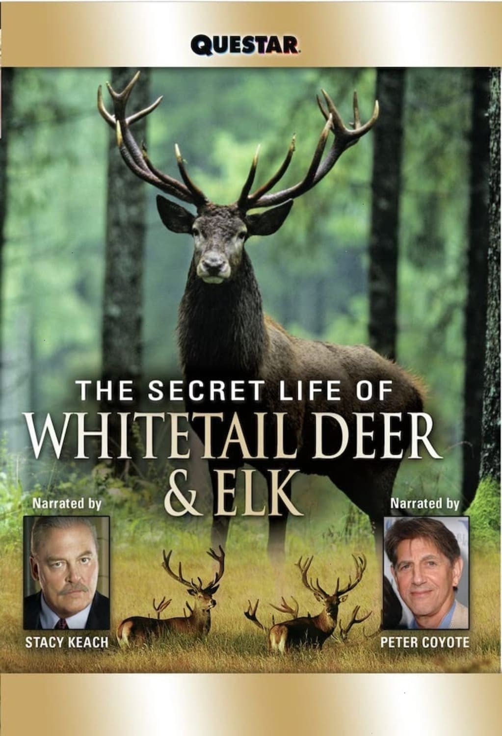 The Secret Life of Whitetail Deer and Elk - [DVD]