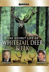 The Secret Life of Whitetail Deer and Elk - [DVD]
