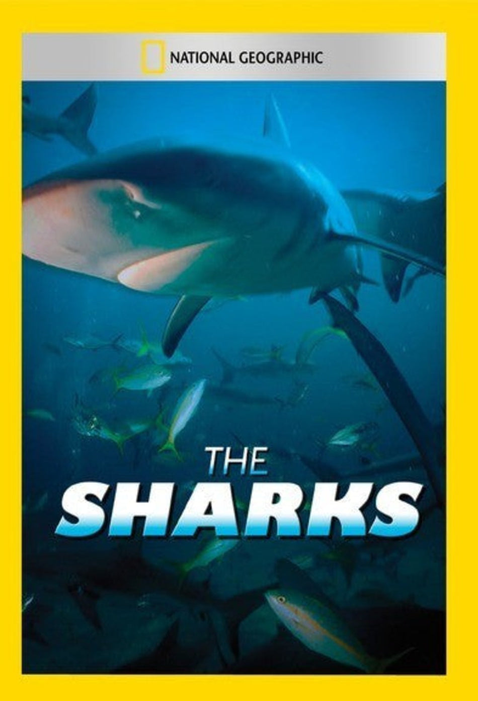 Sharks - (NTSC Format) - [DVD]