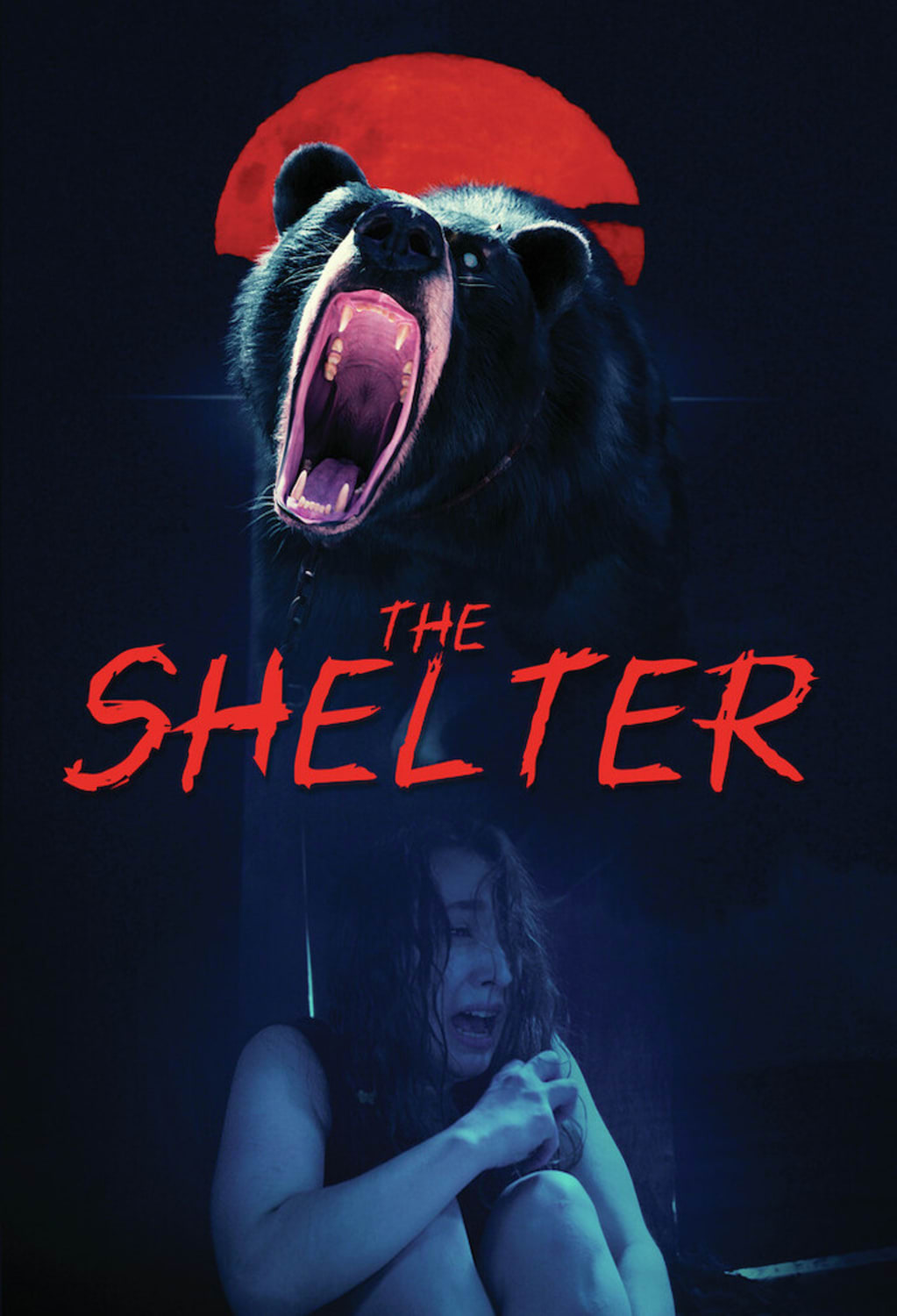 The Shelter - [DVD]
