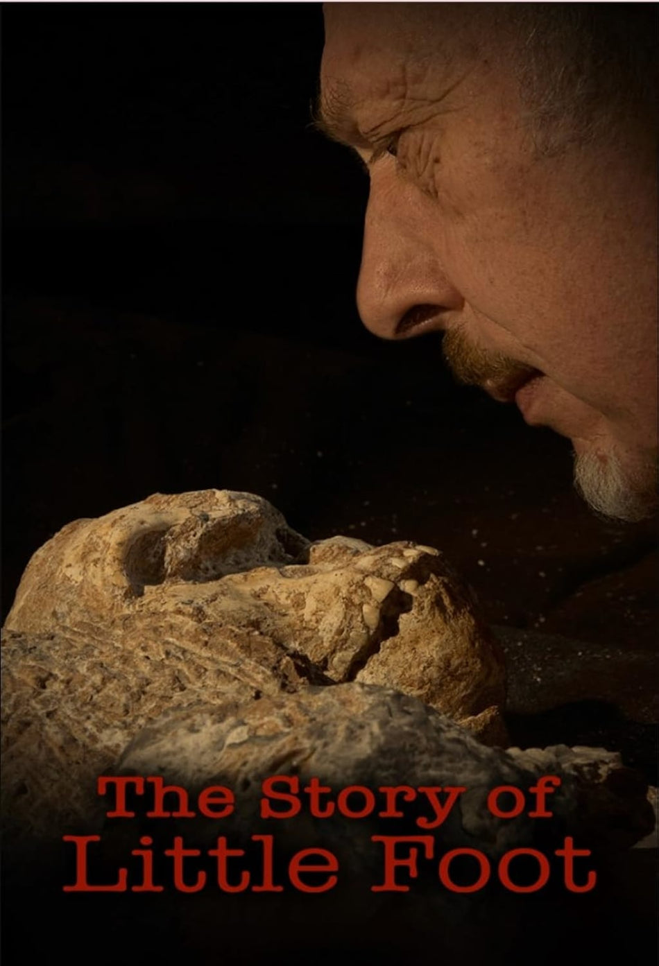 The Story Of Little Foot - [DVD]