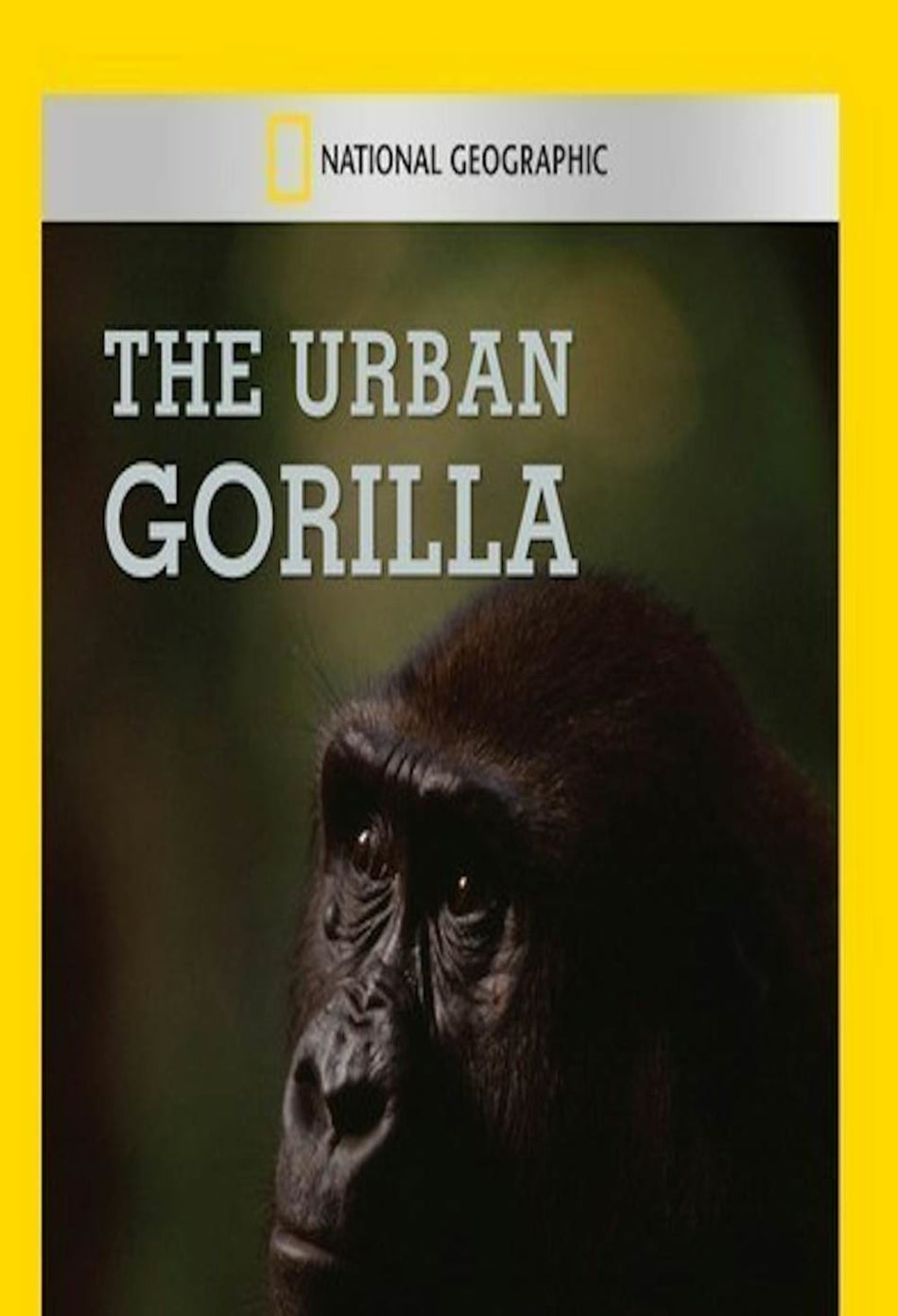 Urban Gorilla - [DVD]