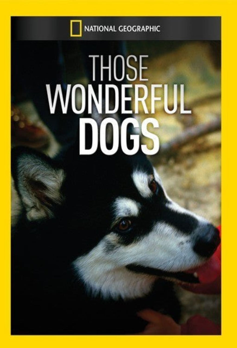 Those Wonderful Dogs - (NTSC Format) - [DVD]