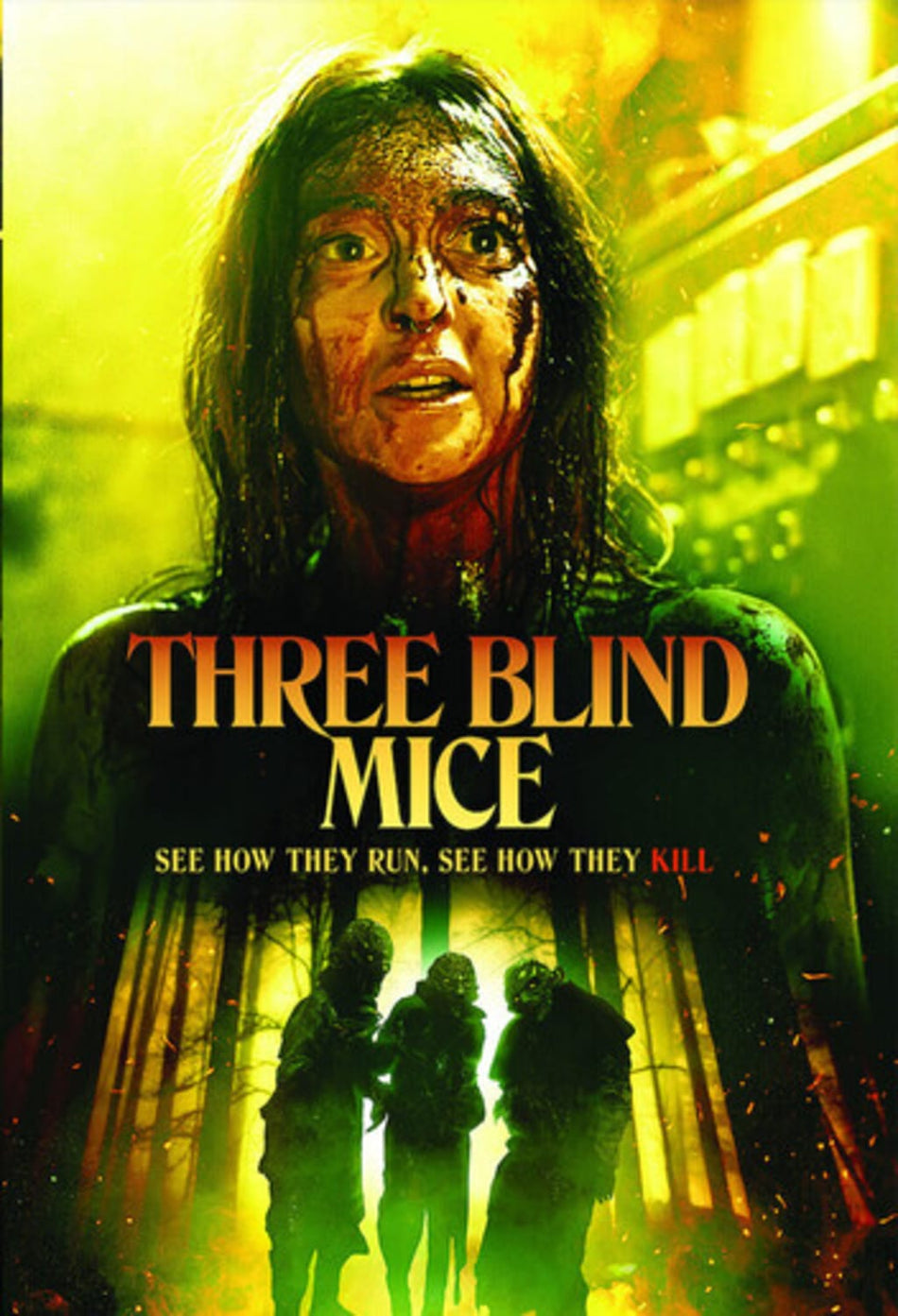 Three Blind Mice - (Dolby, AC-3) - [DVD]
