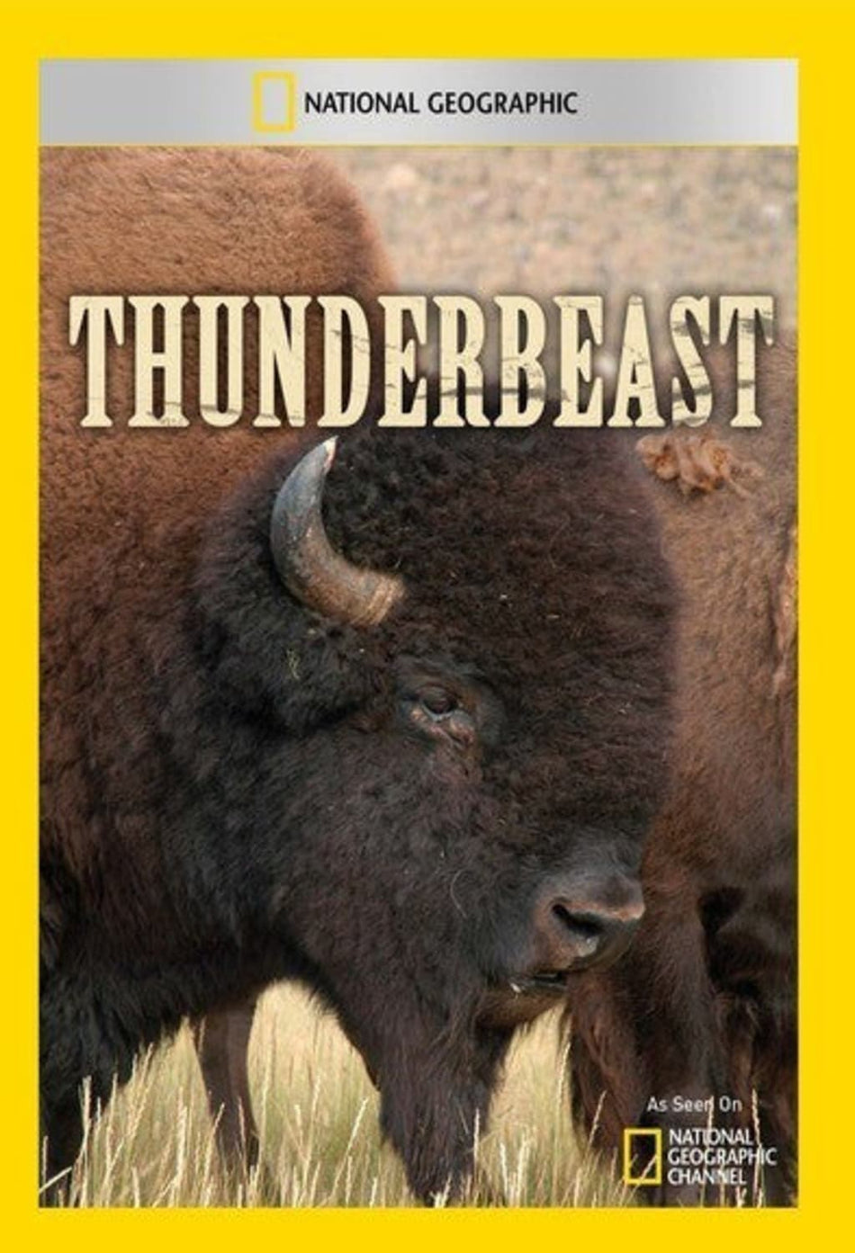 Thunderbeast - (NTSC Format) - [DVD]