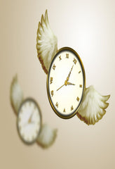 Time Flies - (Mono Sound) - [DVD]