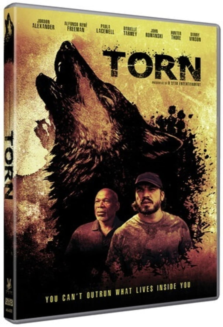 Torn - [DVD]
