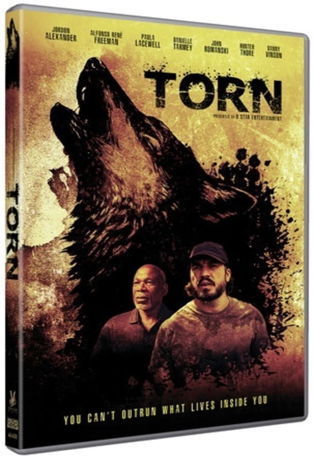 Torn - [DVD]