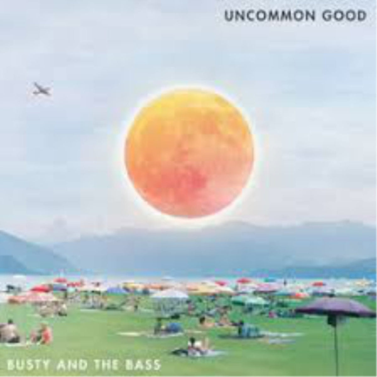 Busty & the Bass - Uncommon Good - [Vinyl]