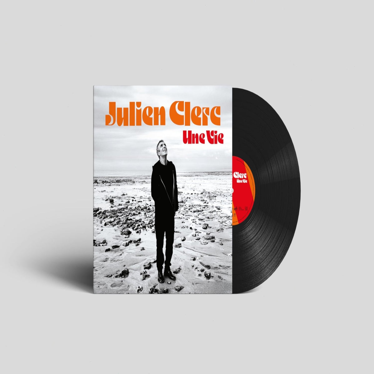 Julien Clerc - Une Vie - [Vinyl]