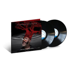 Nduduzo Makhathini - uNomkhubulwane - [Vinyl]