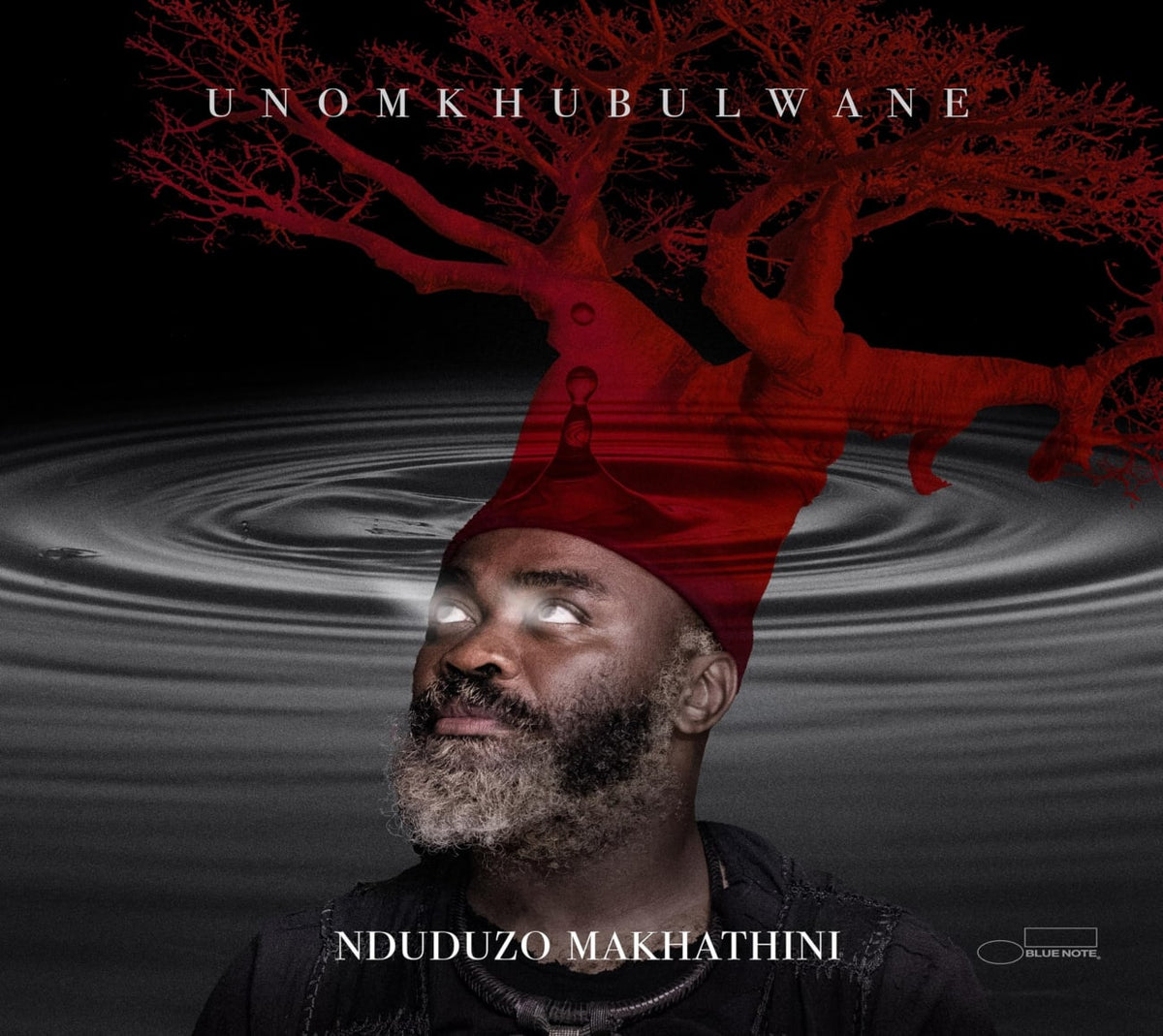 Nduduzo Makhathini - uNomkhubulwane - (Booklet, Softpak) - [CD]