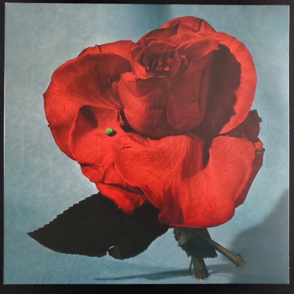 METZ - Up On Gravity Hill - Limited Light Blue with Translucent Red Blob Colored - [Vinyl]