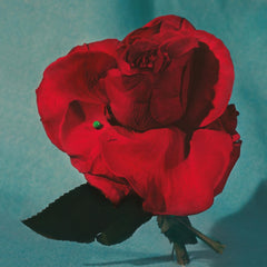 METZ - Up On Gravity Hill - Half Red & Half Black Colored - [Vinyl]