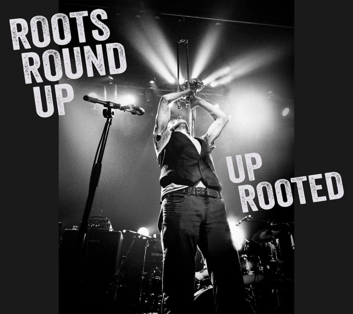 Roots Round Up - Up Rooted - [CD]