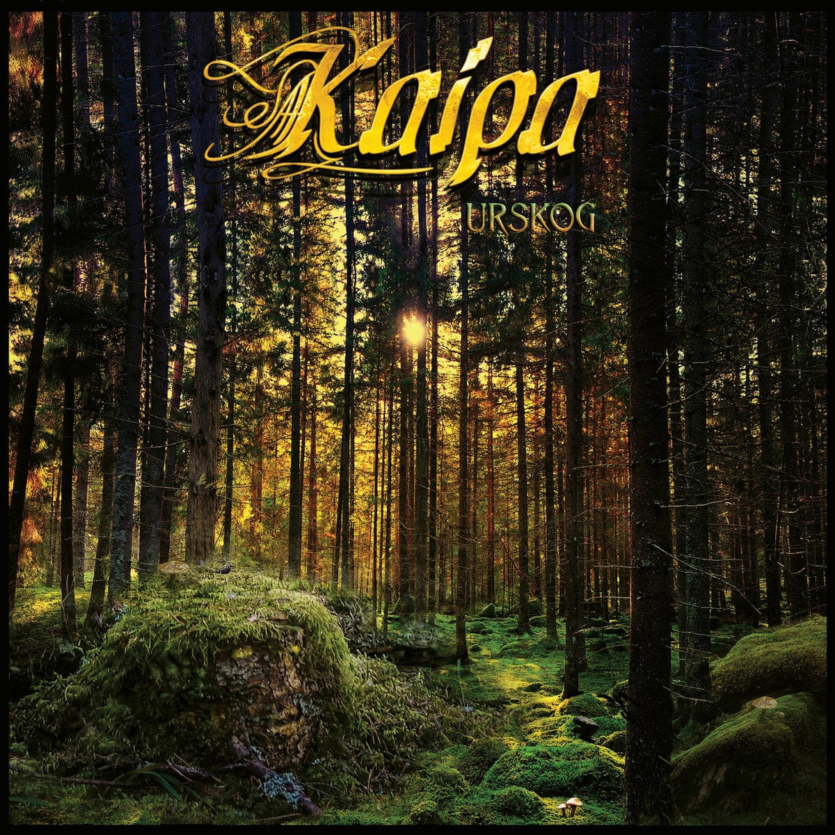 Kaipa - Urskog - (With CD, Gatefold LP Jacket) - [Vinyl]