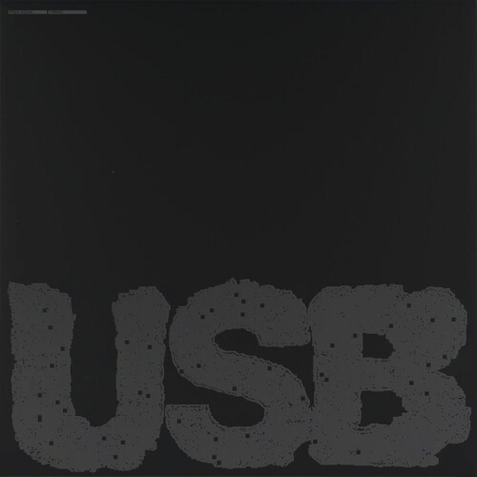 Fred Again - USB [Explicit Content] - (Parental Advisory Explicit Lyrics) - [Vinyl]