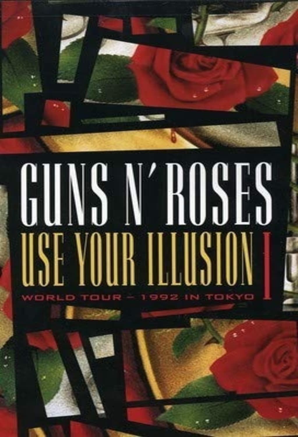 Guns Nâ Roses: Use Your Illusion I: World Tour--1992 in Tokyo - [DVD]