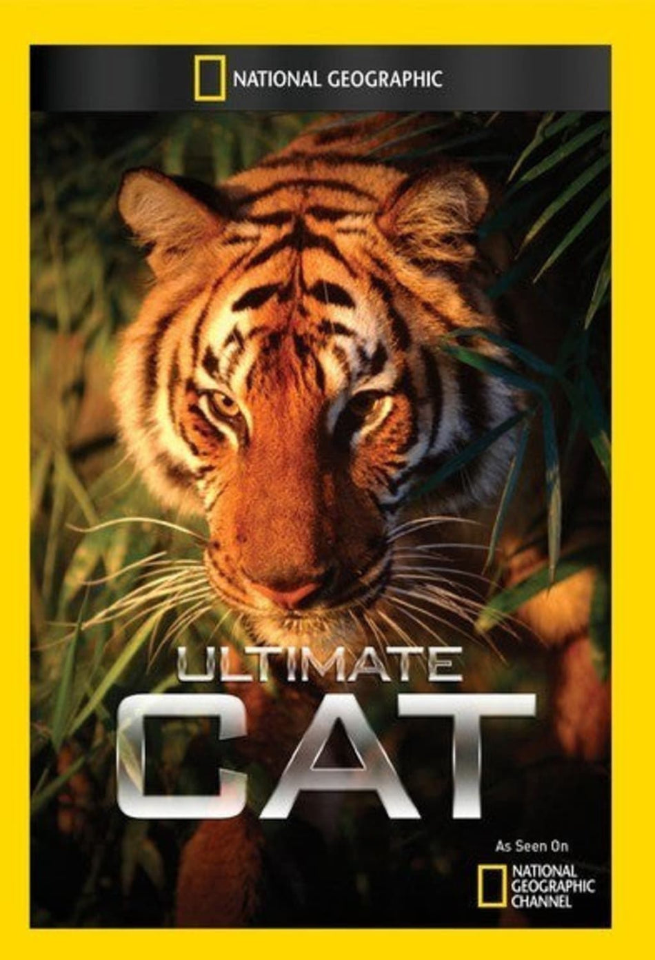 Ultimate Cat - (NTSC Format) - [DVD]