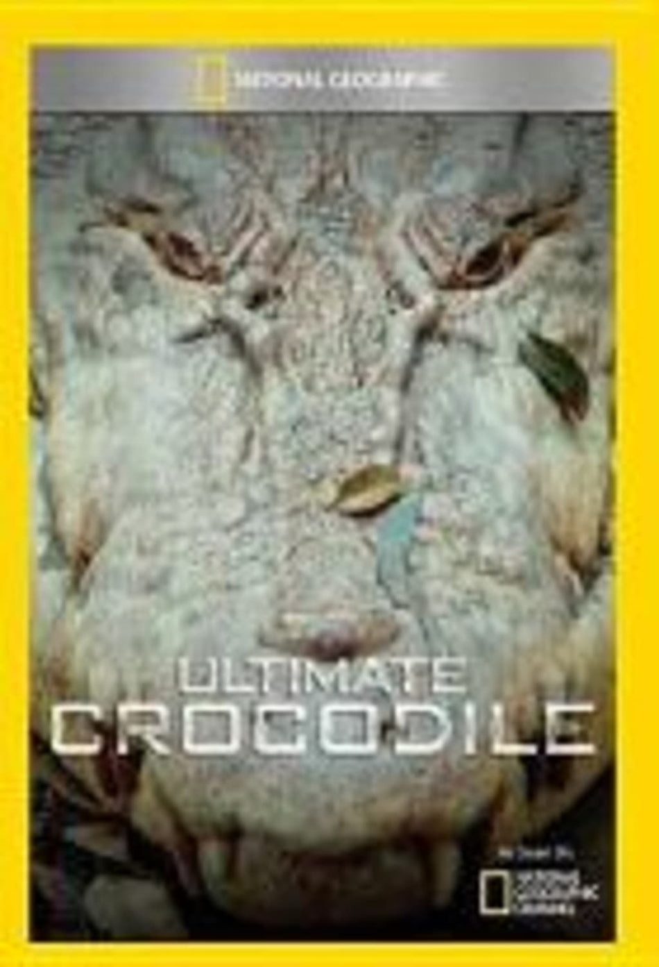 Ultimate Crocodile - (NTSC Format) - [DVD]