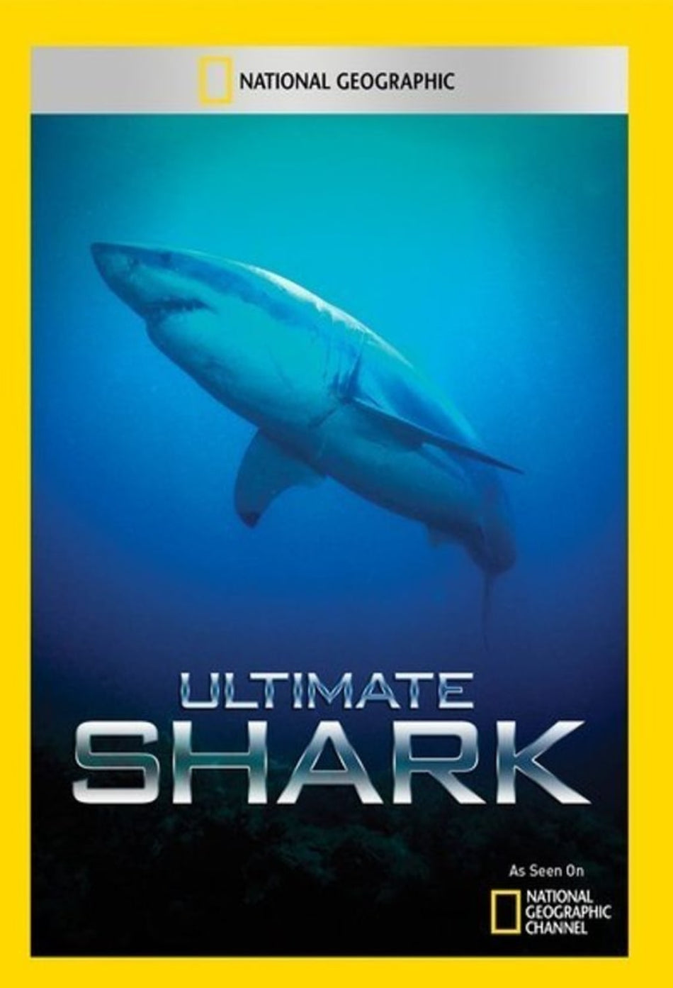 Ultimate Shark - (NTSC Format) - [DVD]