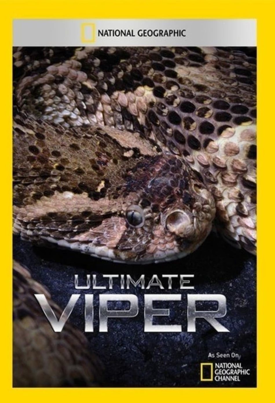 Ultimate Viper - (NTSC Format) - [DVD]