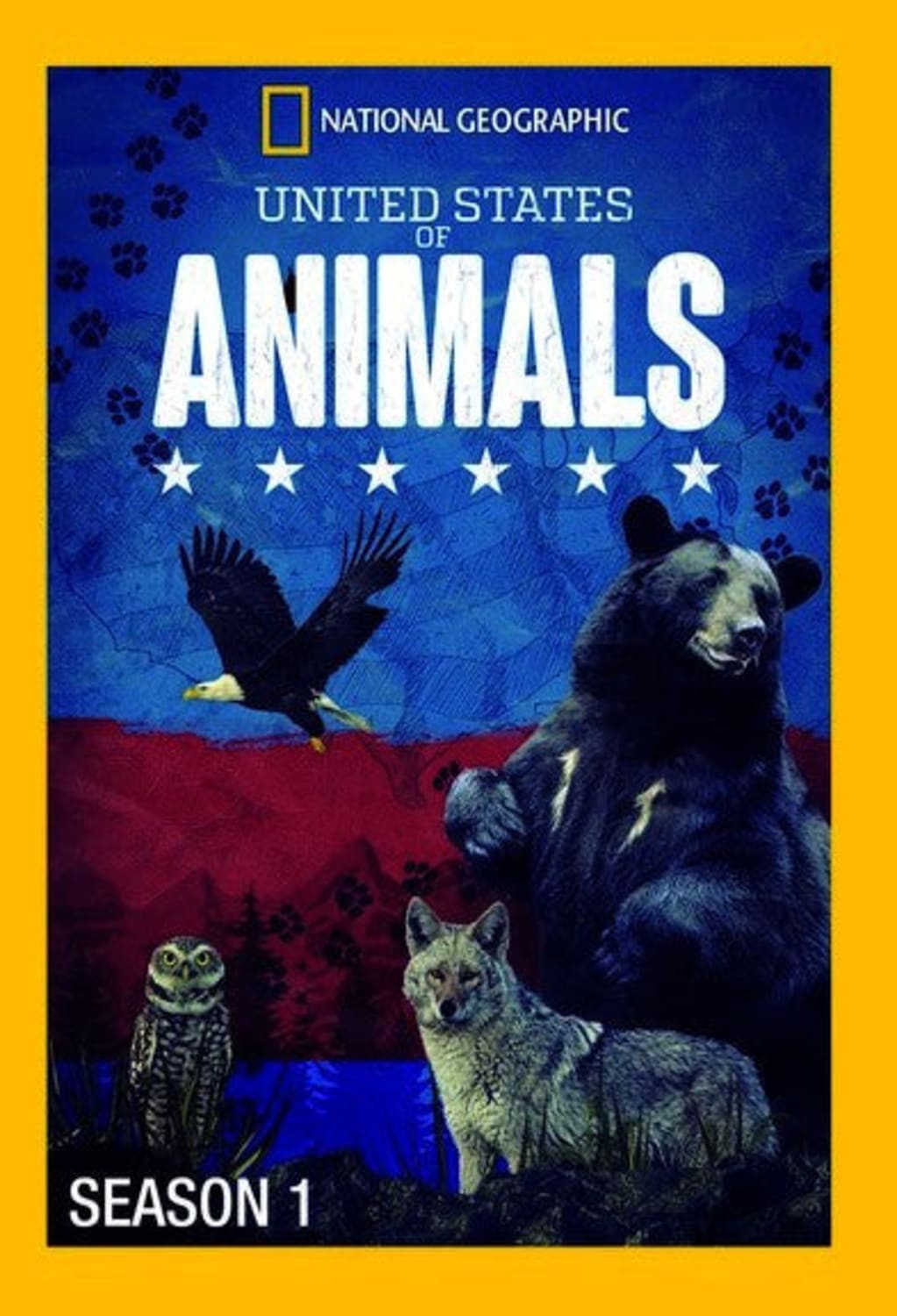 United States of Animals Season 1 - (Widescreen) - [DVD]