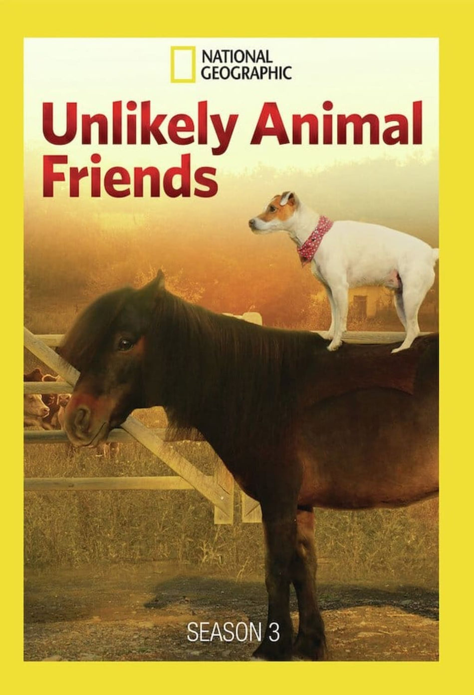 Unlikely Animal Friends: Season 3 - (Dolby, AC-3, Widescreen, 2 Pack) - [DVD]
