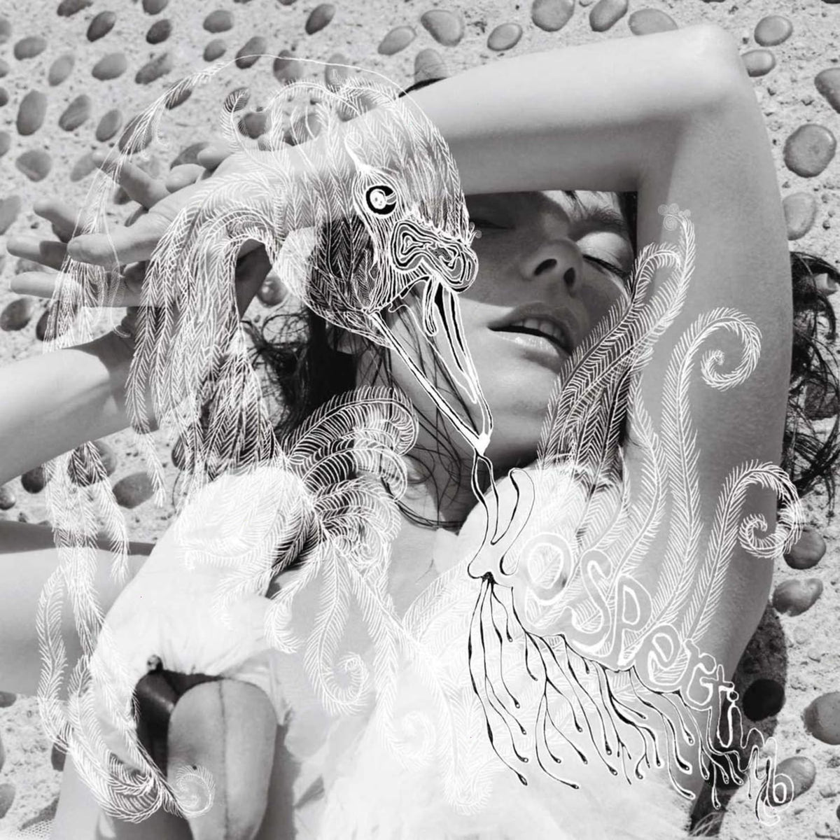 Bjork - Vespertine [Import] - [Vinyl]