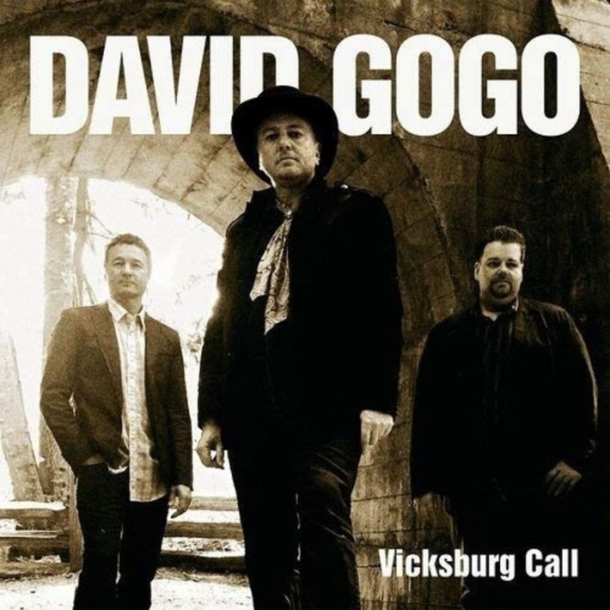 David Gogo - Vicksburg Call - [Vinyl]