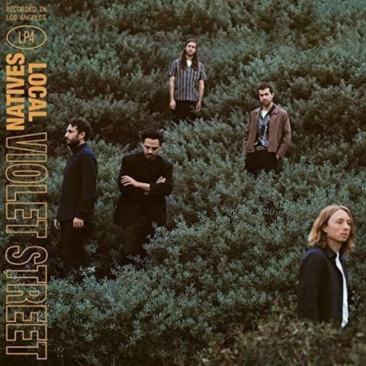 Local Natives - Violet Street - [Vinyl]