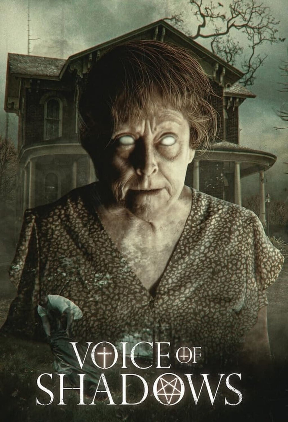 Voice Of Shadows - (Dubbed) - [DVD]