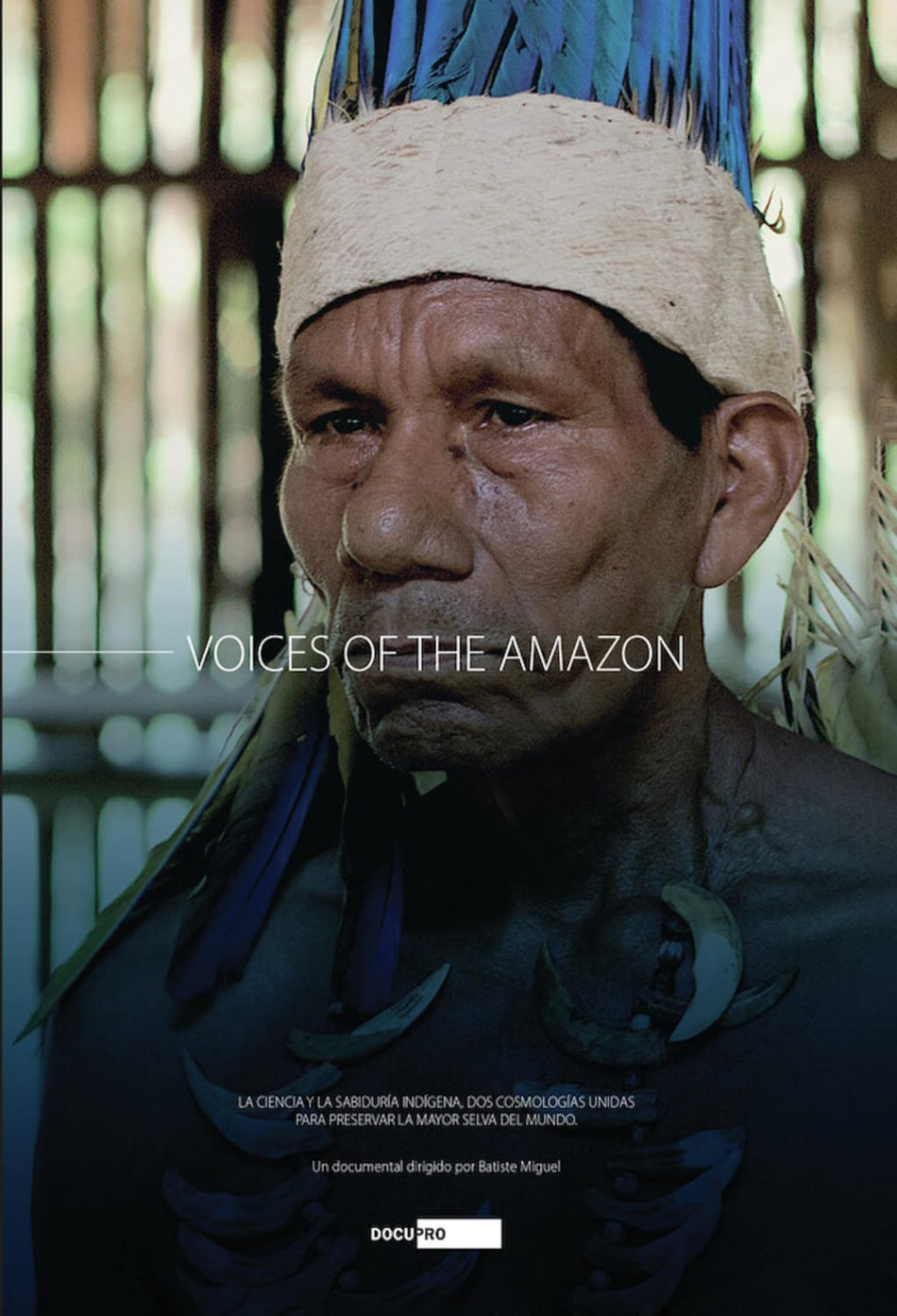 Voices Of The Amazon - [DVD]