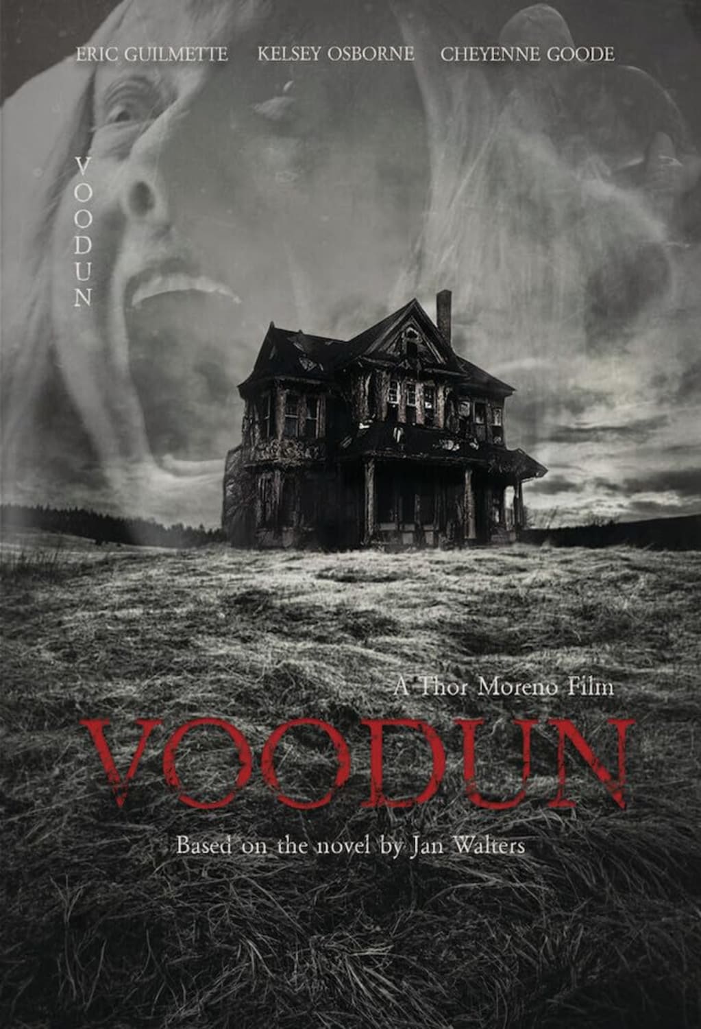 Voodun - [DVD]