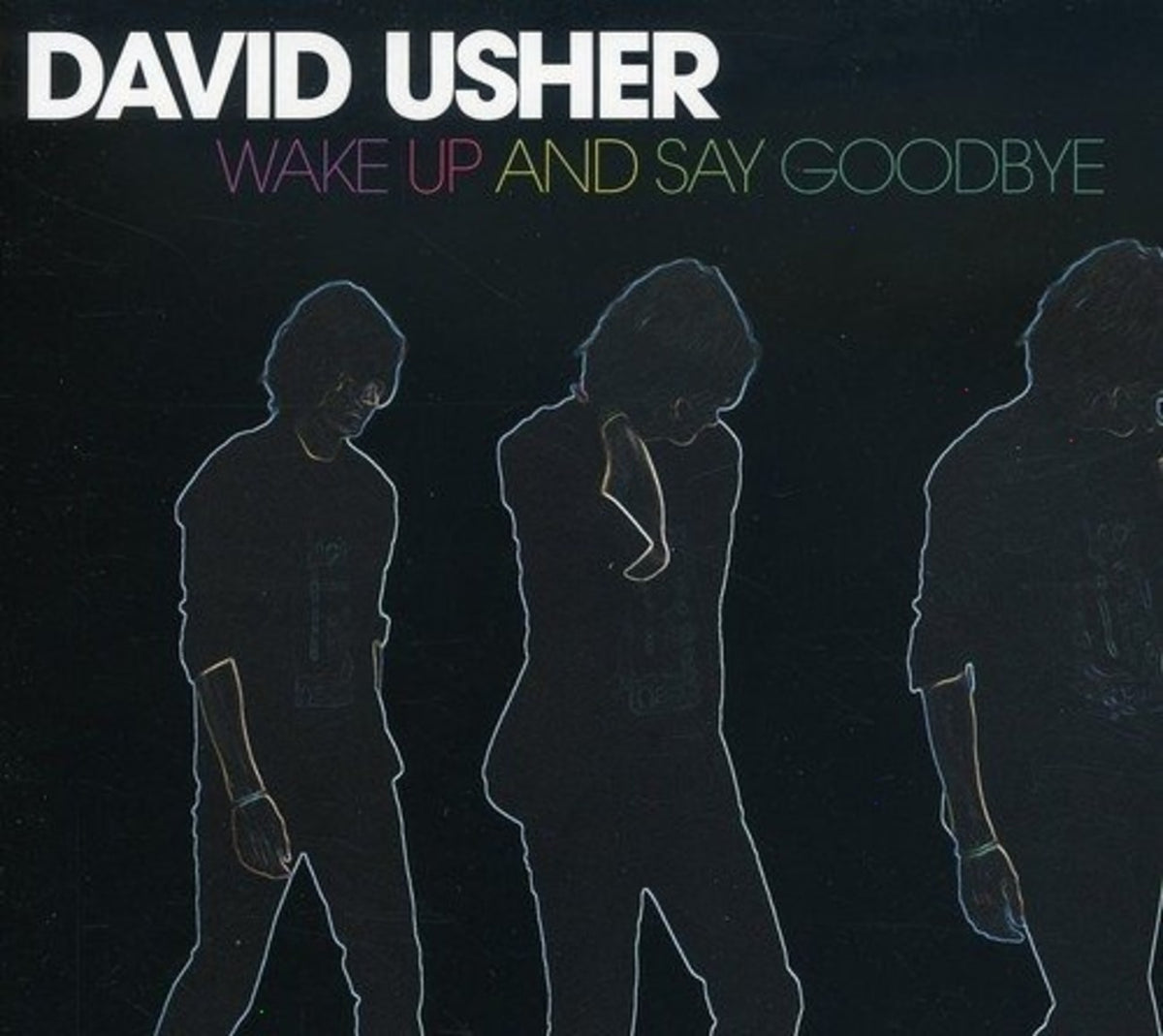 David Usher - Wake Up & Say Goodbye - [CD]