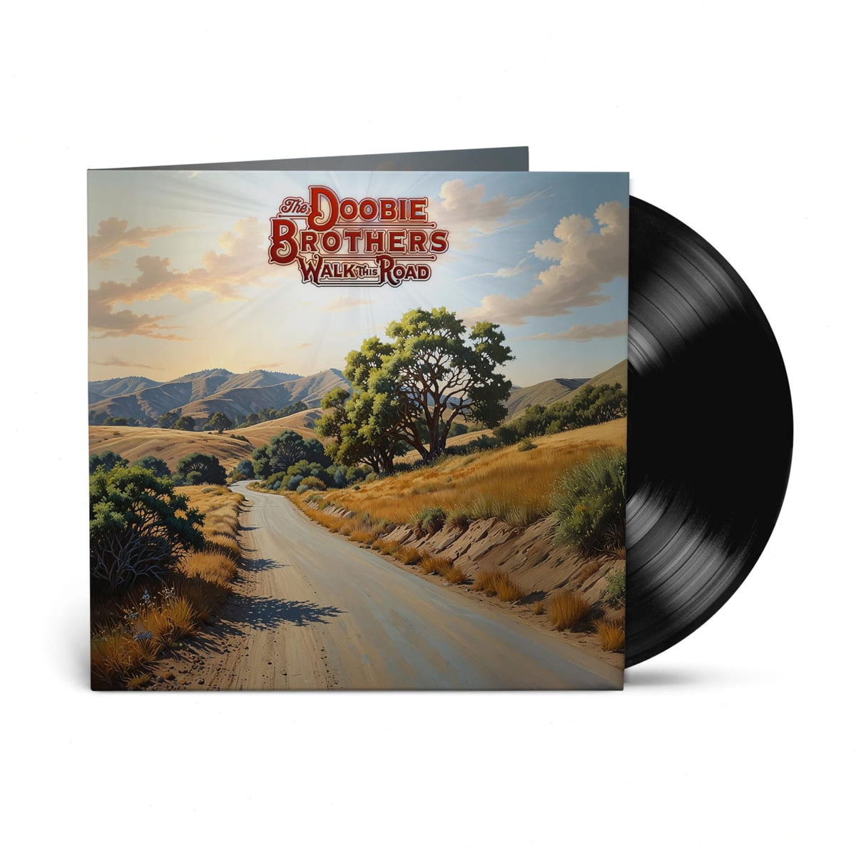 The Doobie Brothers - Walk This Road - [Vinyl]