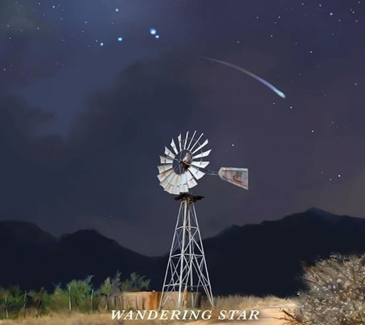 Flatland Cavalry - Wandering Star - [CD]