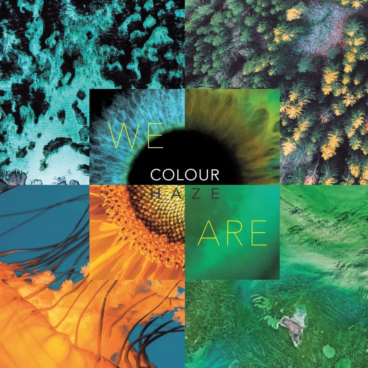 Colour Haze - We Are - [Vinyl]