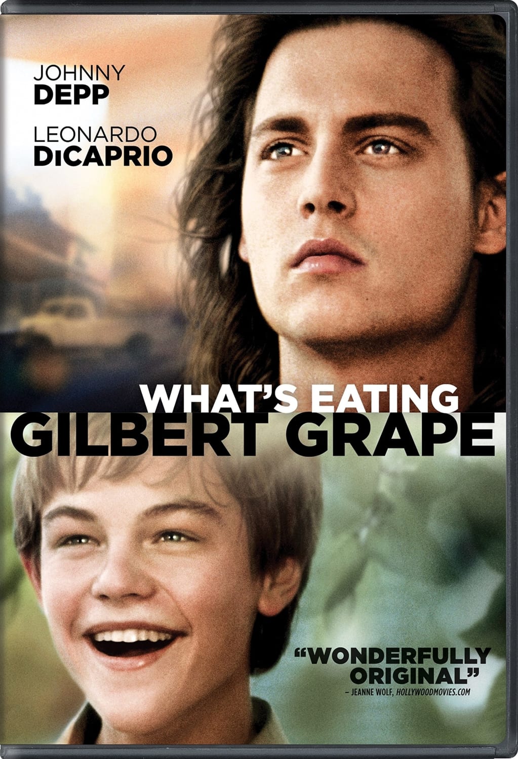 What's Eating Gilbert Grape - (Special Edition, Collector's Edition, Widescreen, Dolby, AC-3) - [DVD]