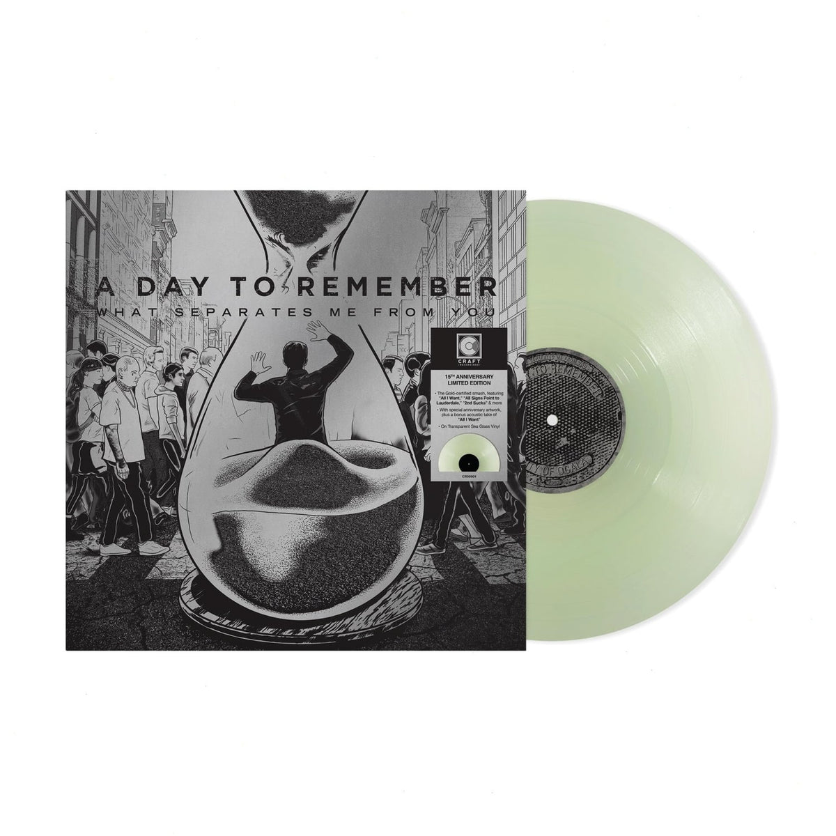 A Day to Remember - What Separates Me From You [Explicit Content] - (Parental Advisory Explicit Lyrics, Limited Edition, Clear Vinyl, Anniversary Edition) - [Vinyl]