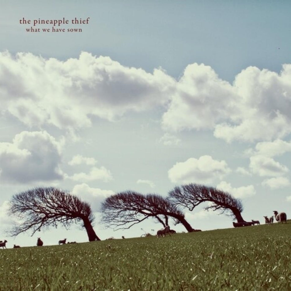 Pineapple Thief - What We Have Sown - [Vinyl]