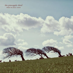 Pineapple Thief - What We Have Sown - [Vinyl]