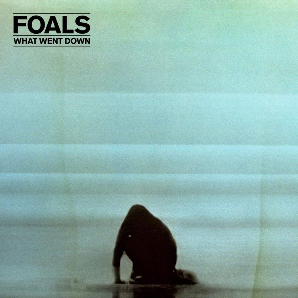 Foals - What Went Down - (180 Gram Vinyl, Digital Download Card) - [Vinyl]