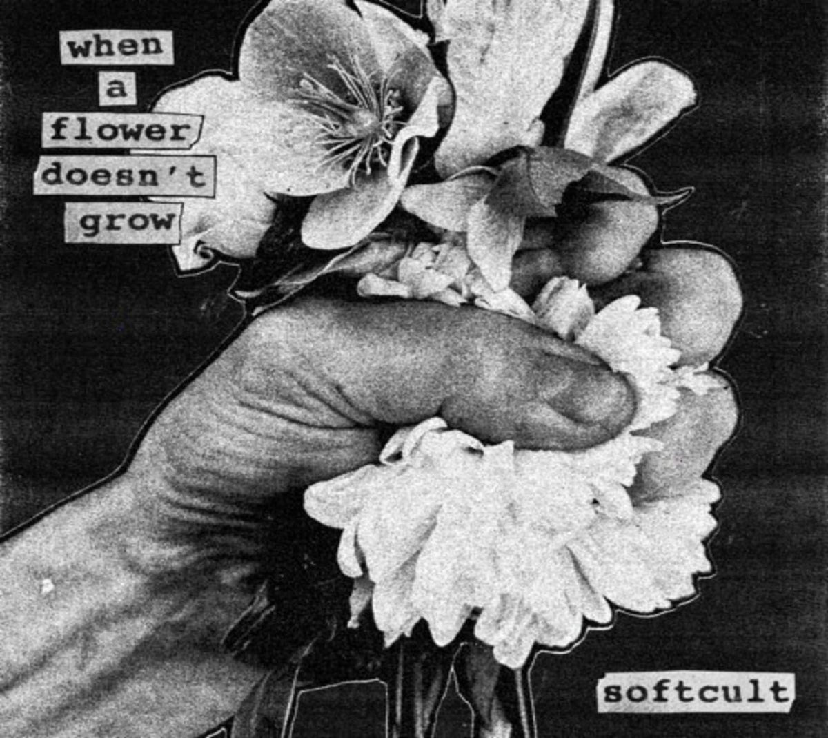 Softcult - When A Flower Doesn't Grow - [CD]