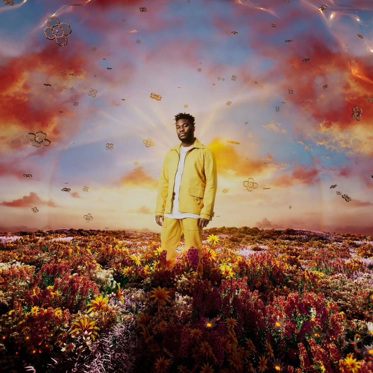 Nonso Amadi - When It Blooms - [Vinyl]